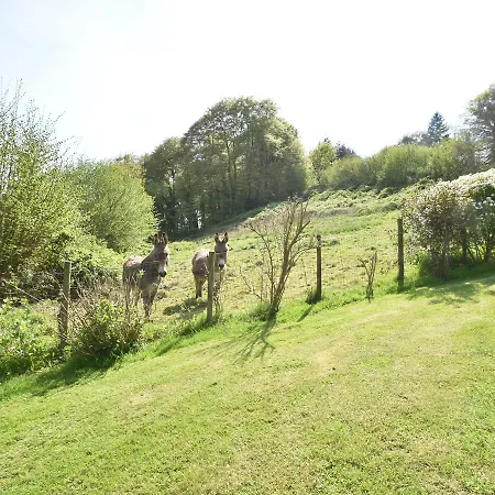 Family In Normandy Villedieu-les-Poeles-Rouffigny
