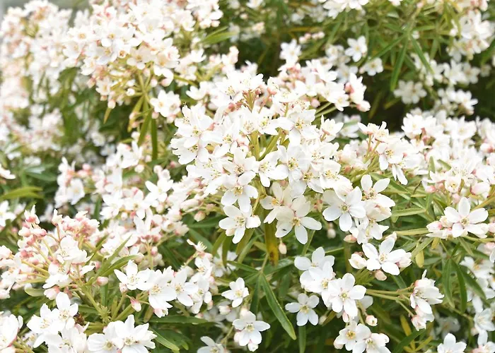 Casa vacanze Family In Normandy