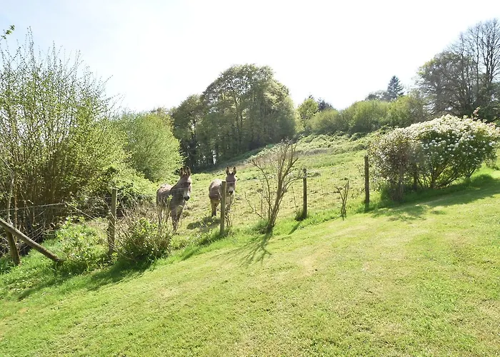 Family In Normandy Villedieu-les-Poëles